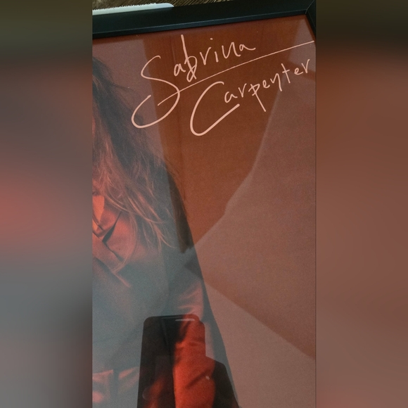Sabrina Carpenter Evolution Poster ~20x14 - Picture 4 of 8